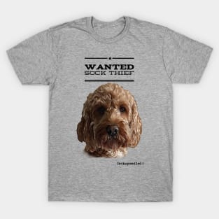 Cockapoo / Doodle Dog Sock Thief T-Shirt